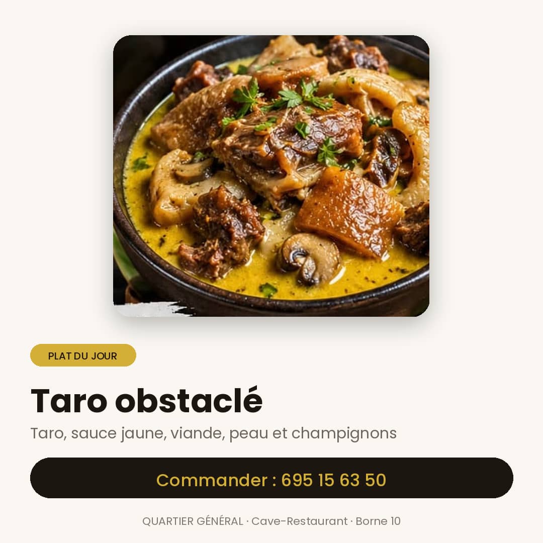 TARO OBSTACLE — vue 1