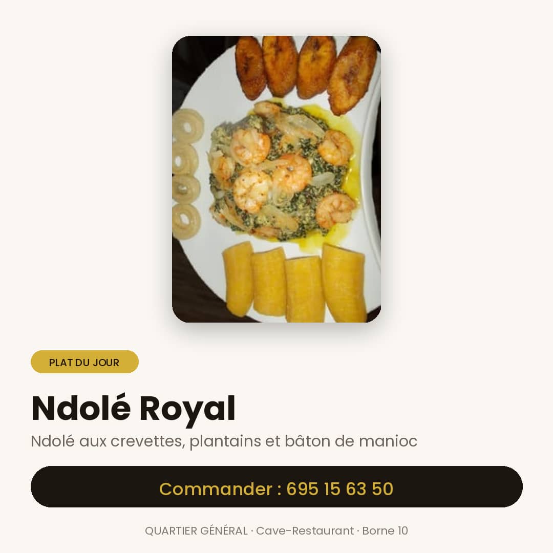 NDOLET ROYAL — vue 1
